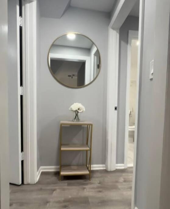 Cozy Studio with 1 Bed & Comfy Sofa Bed Apartment in New Rochelle