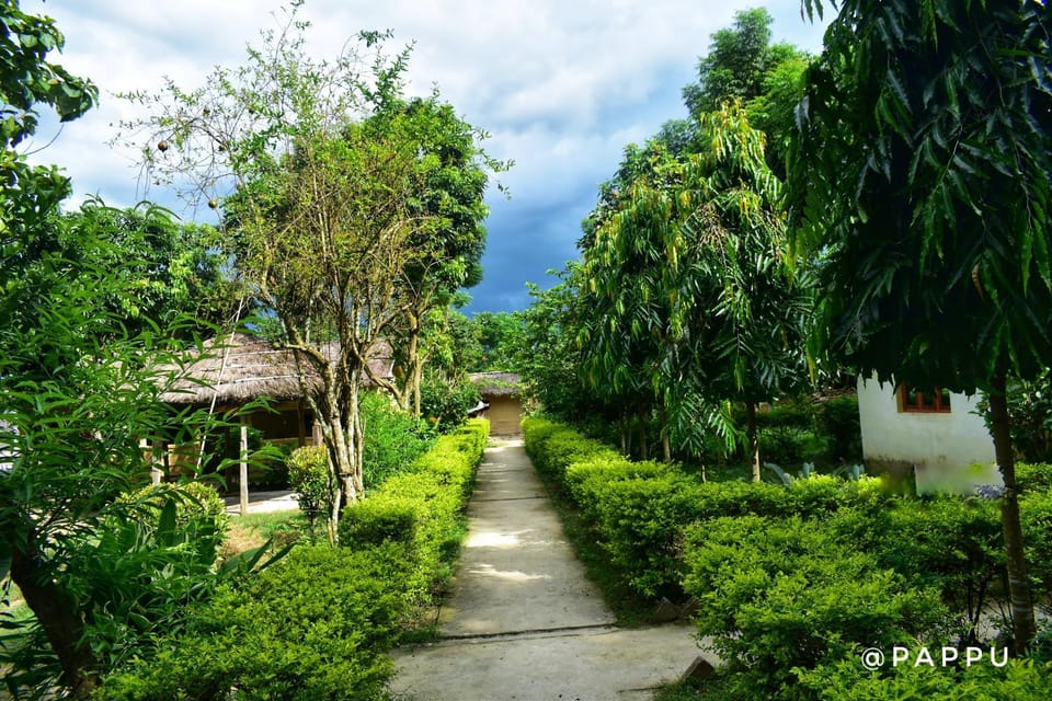 Bardia Wild Side Hotel Hotel in Nepal