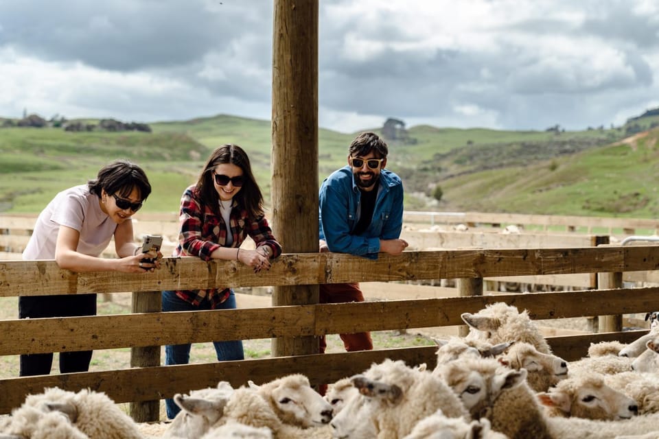 Day, People, Natural landscape, Activities, Animals, Mountain view, group of guests