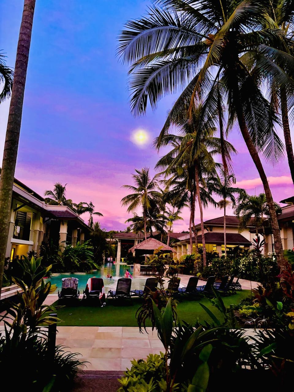 Natural landscape, Garden, Sunset