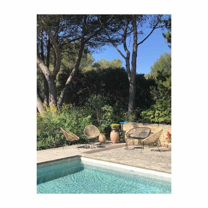 Day, Pool view, Swimming pool