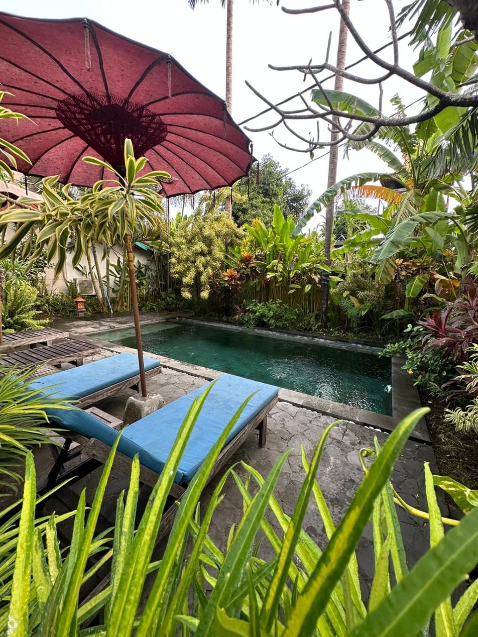 ComeBack GuestHouse Bed and Breakfast in North Kuta
