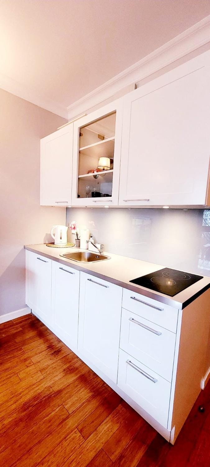 Kitchen or kitchenette, minibar, pet friendly, stove