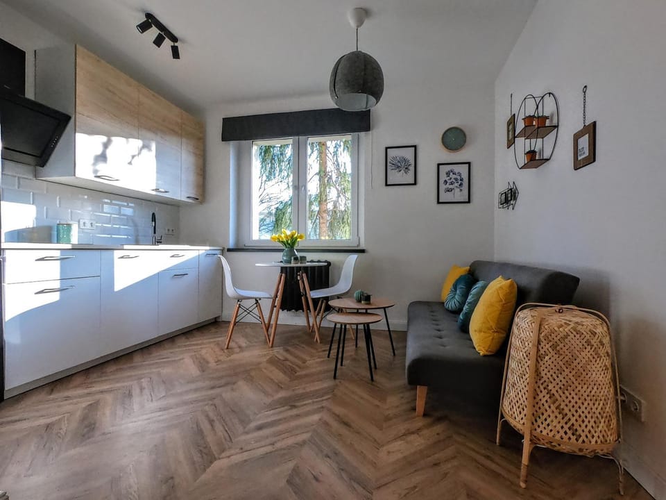Kitchen or kitchenette, Living room, Seating area, Dining area