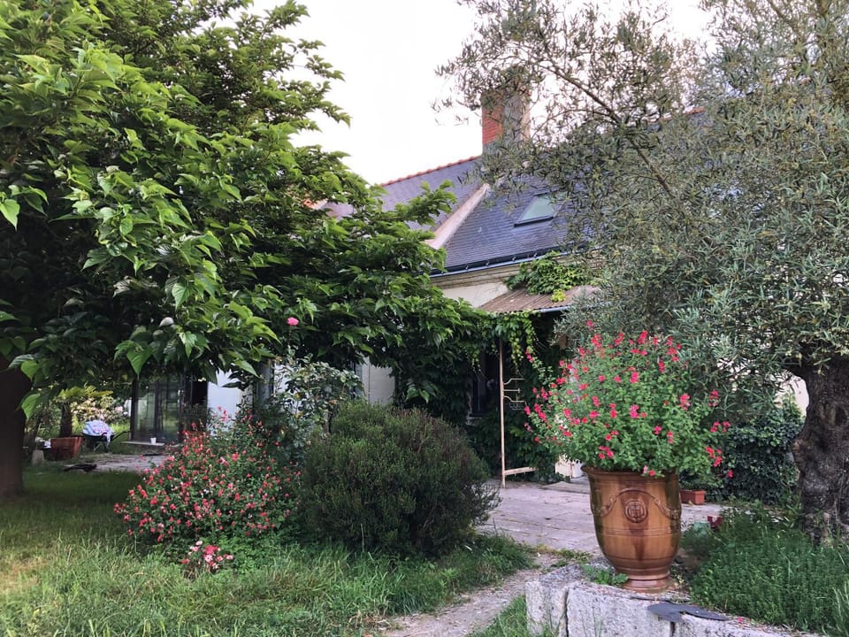 Property building, Garden, Garden view