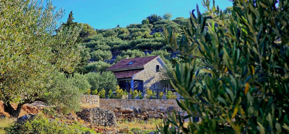 Property building, Day, Natural landscape, Garden view