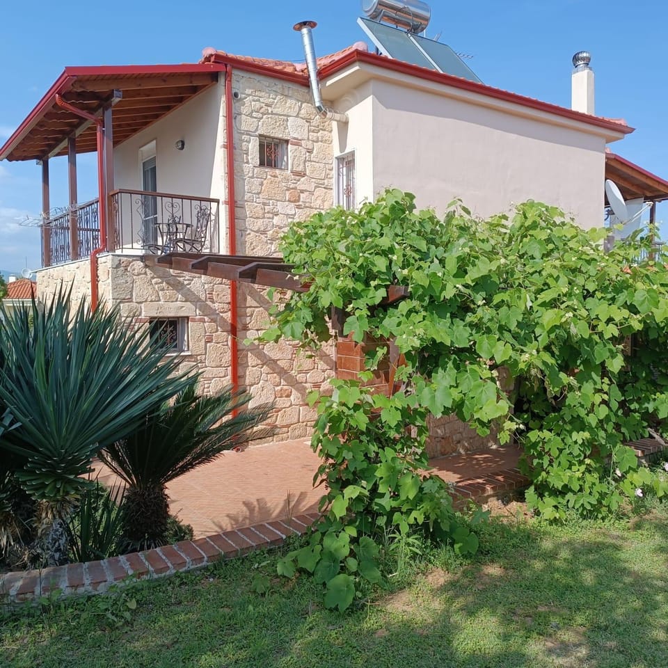 Property building, Patio