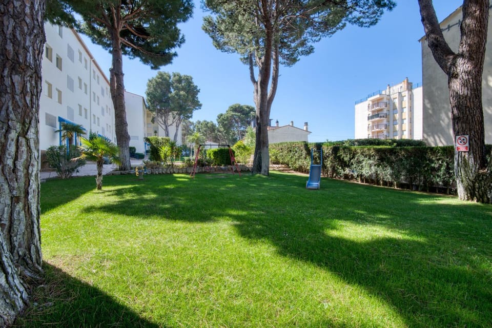 Patio, Garden, Garden view