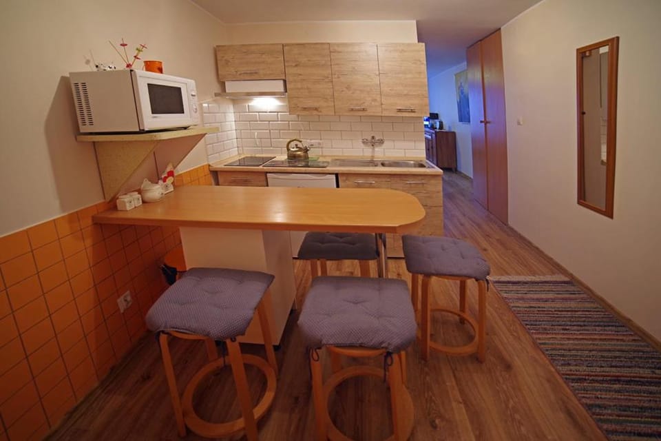 Centrum Karkonoszy Apartment in Lower Silesian Voivodeship