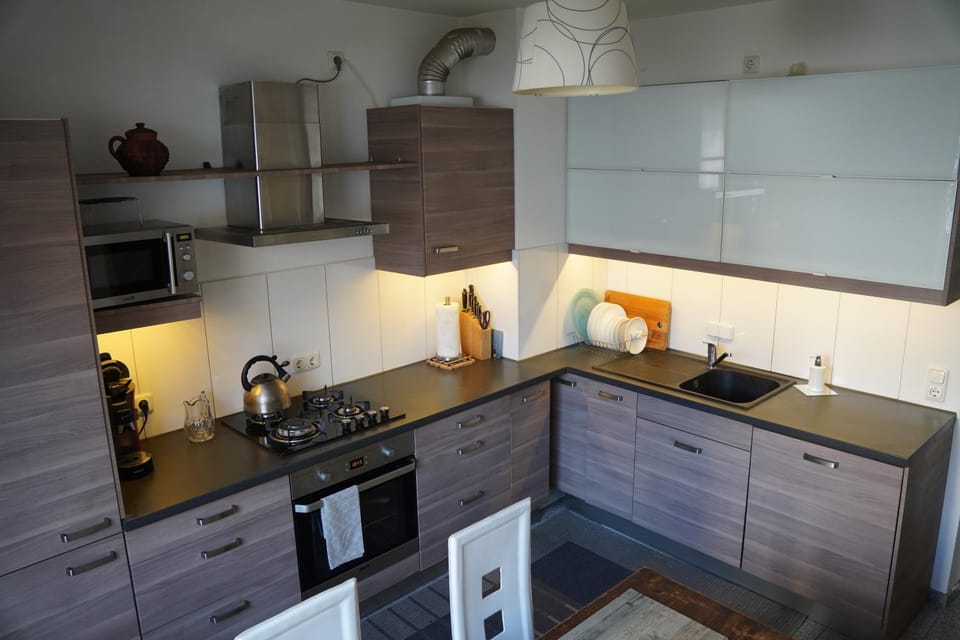 Kitchen or kitchenette, dishwasher, minibar, pet friendly, stove