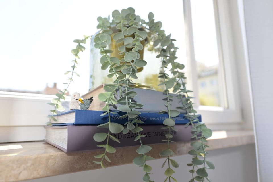 Apartament NA FALI Apartment in Szczecin