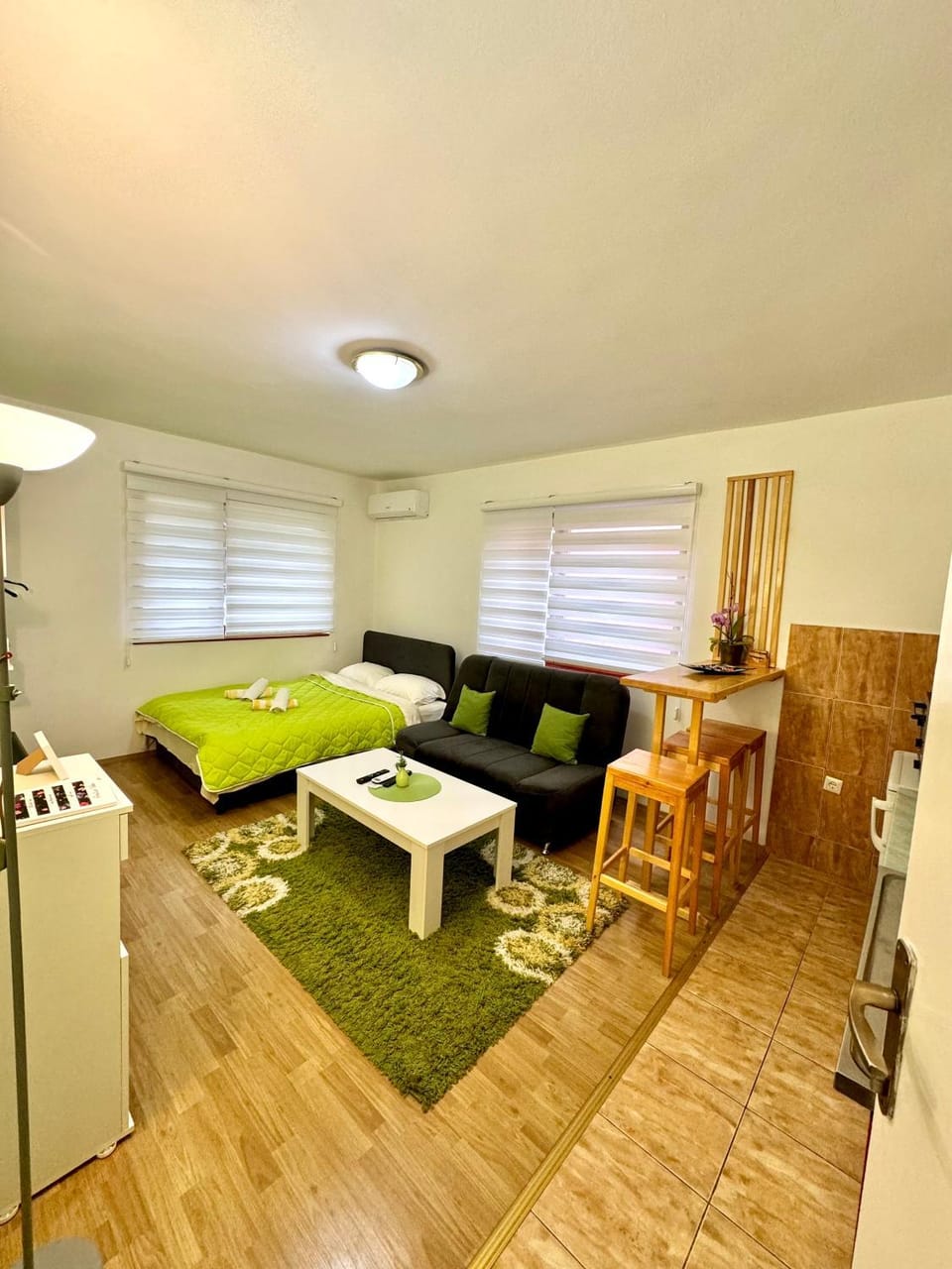 Bed, Kitchen or kitchenette, Living room, Photo of the whole room, Seating area