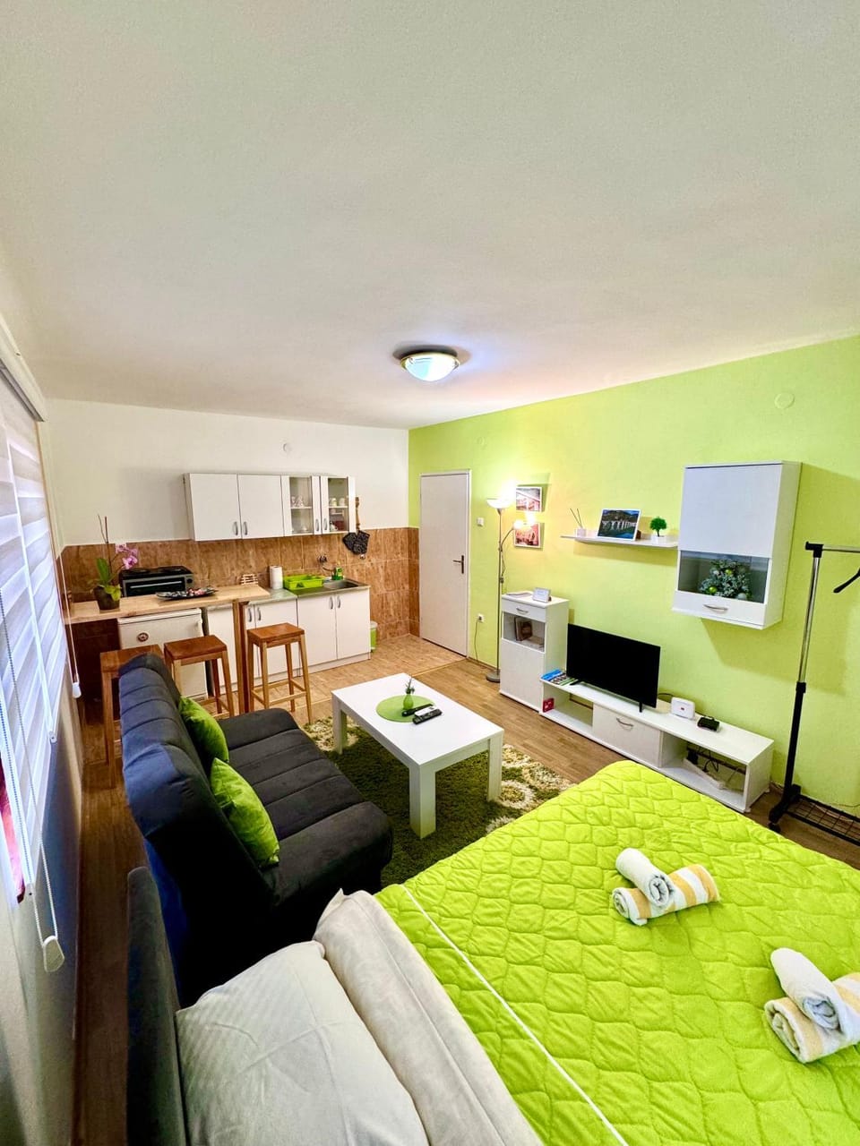 Bed, TV and multimedia, Kitchen or kitchenette, Living room, Photo of the whole room, Seating area, Bedroom, pet friendly