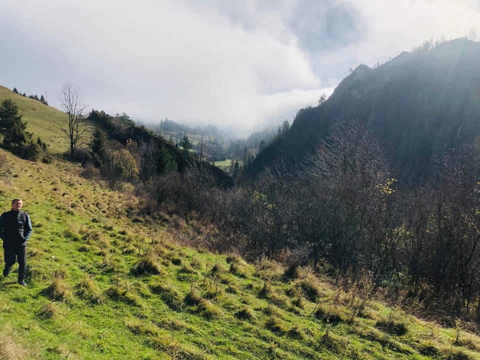 Mountain view