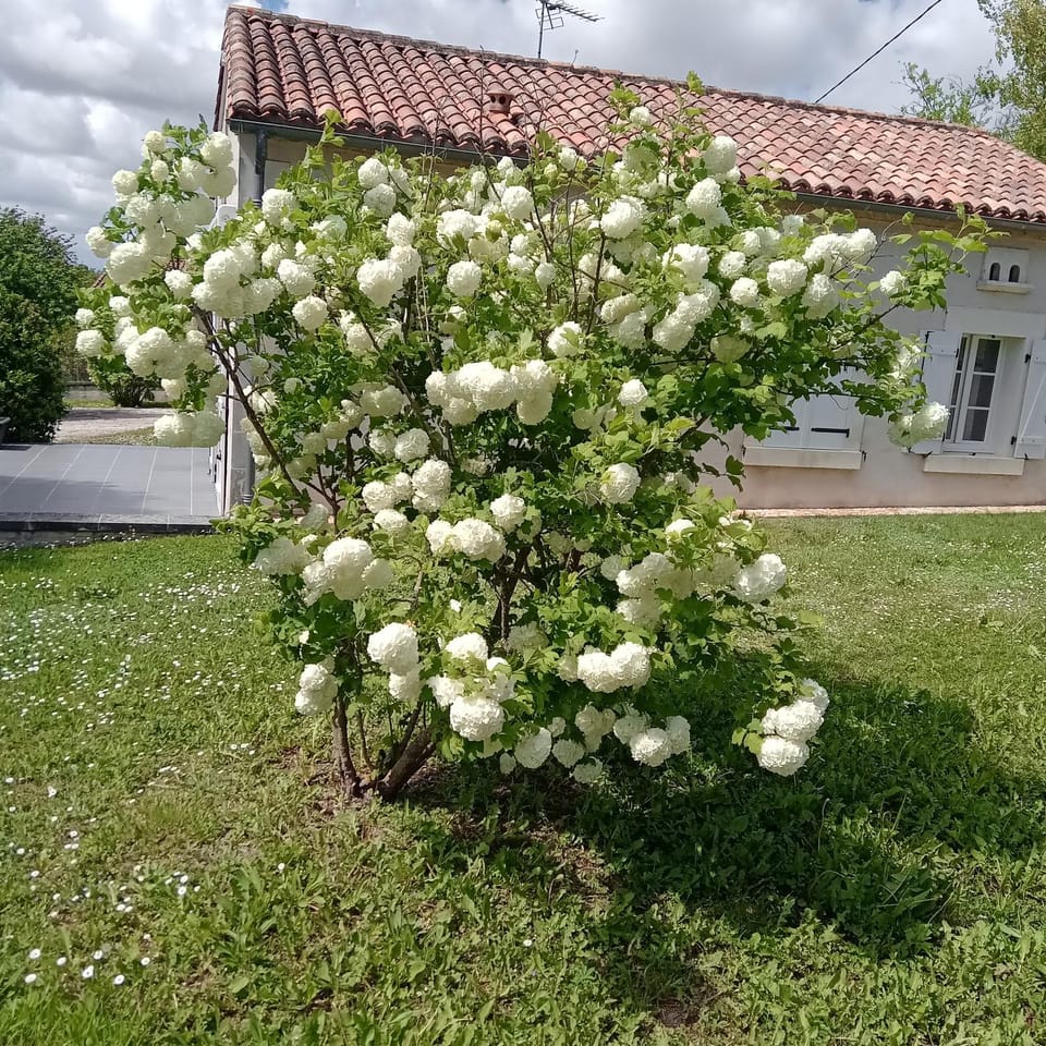 Natural landscape, Garden view