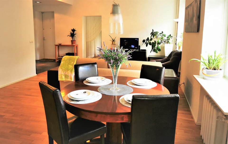 DT apartment, spacious and free parking Apartment in Tallinn