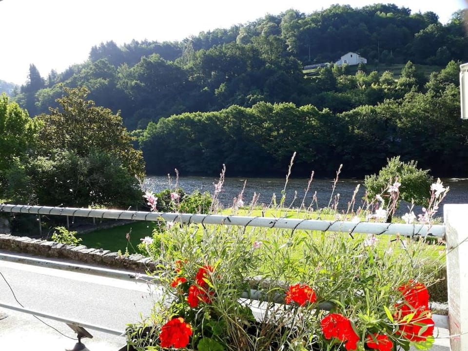 Vue du Pont Apartment in Occitanie