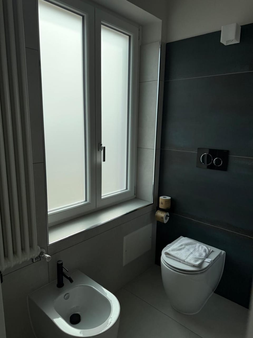 Toilet, Bathroom, bidet