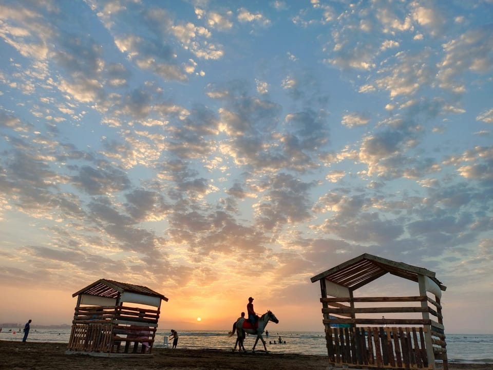 Summer, Horse-riding, Beach, Sunset