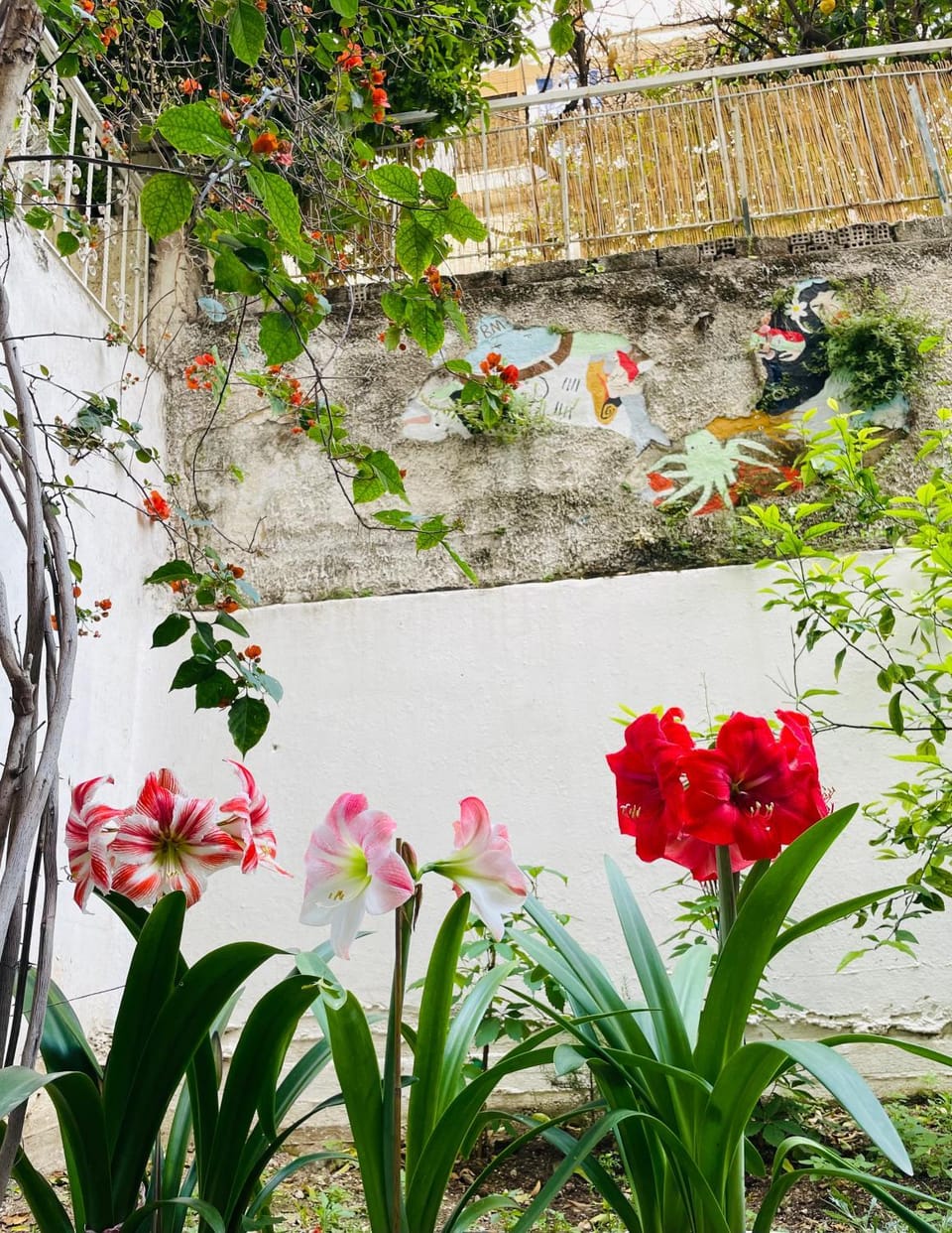 Garden view