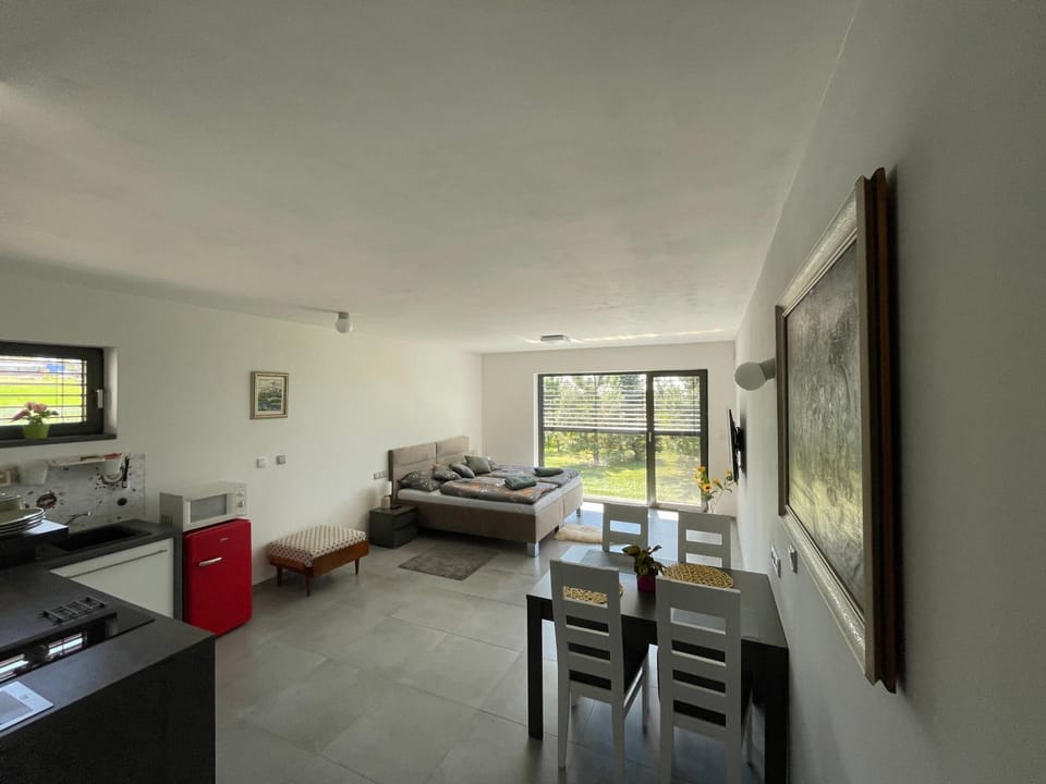 Ubytování U Vinice Apartment in Saxony