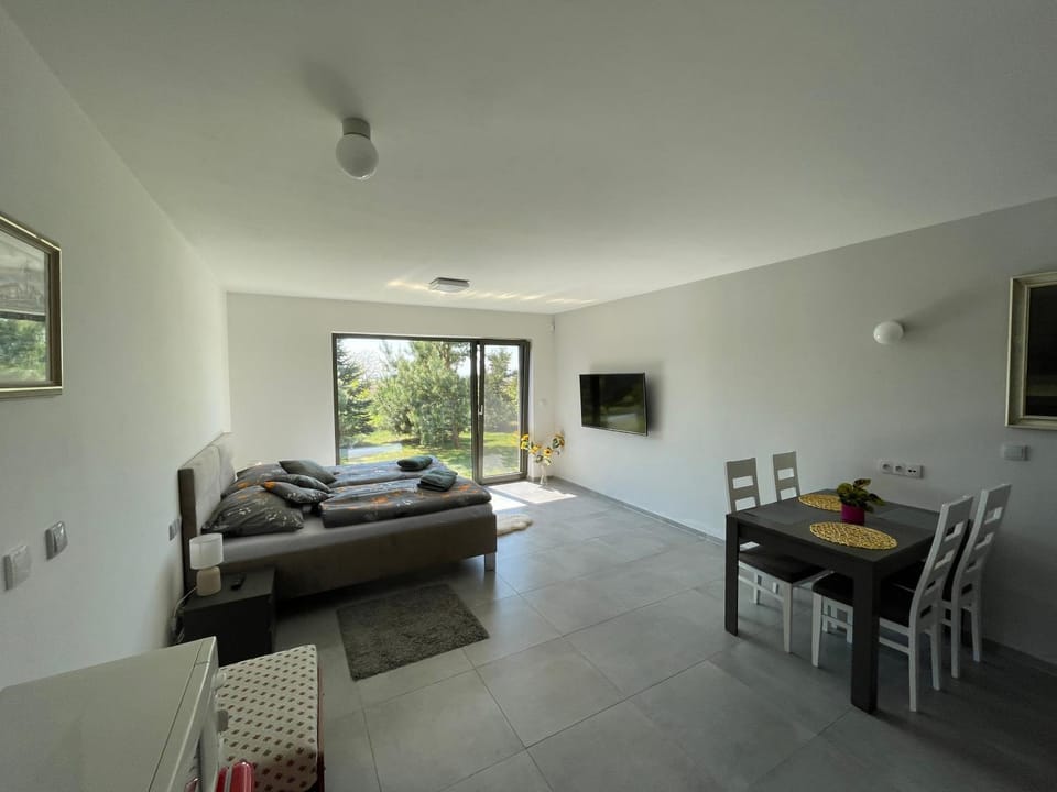 Ubytování U Vinice Apartment in Saxony