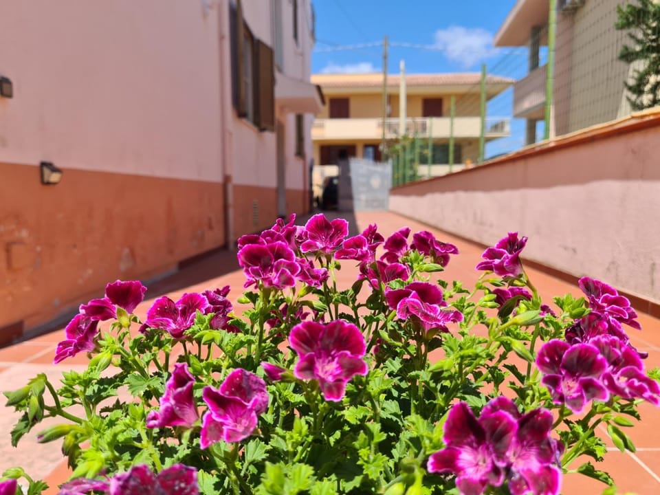 Property building, Spring, Garden, Garden view, Garden view