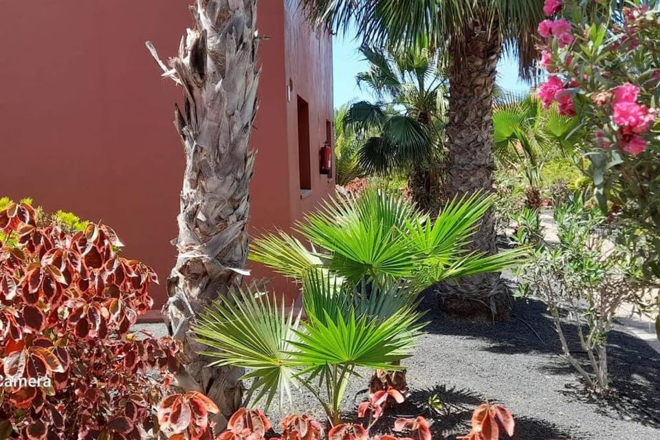 Apartment Cumbre Vieja Fuerteventura Apartment in Corralejo