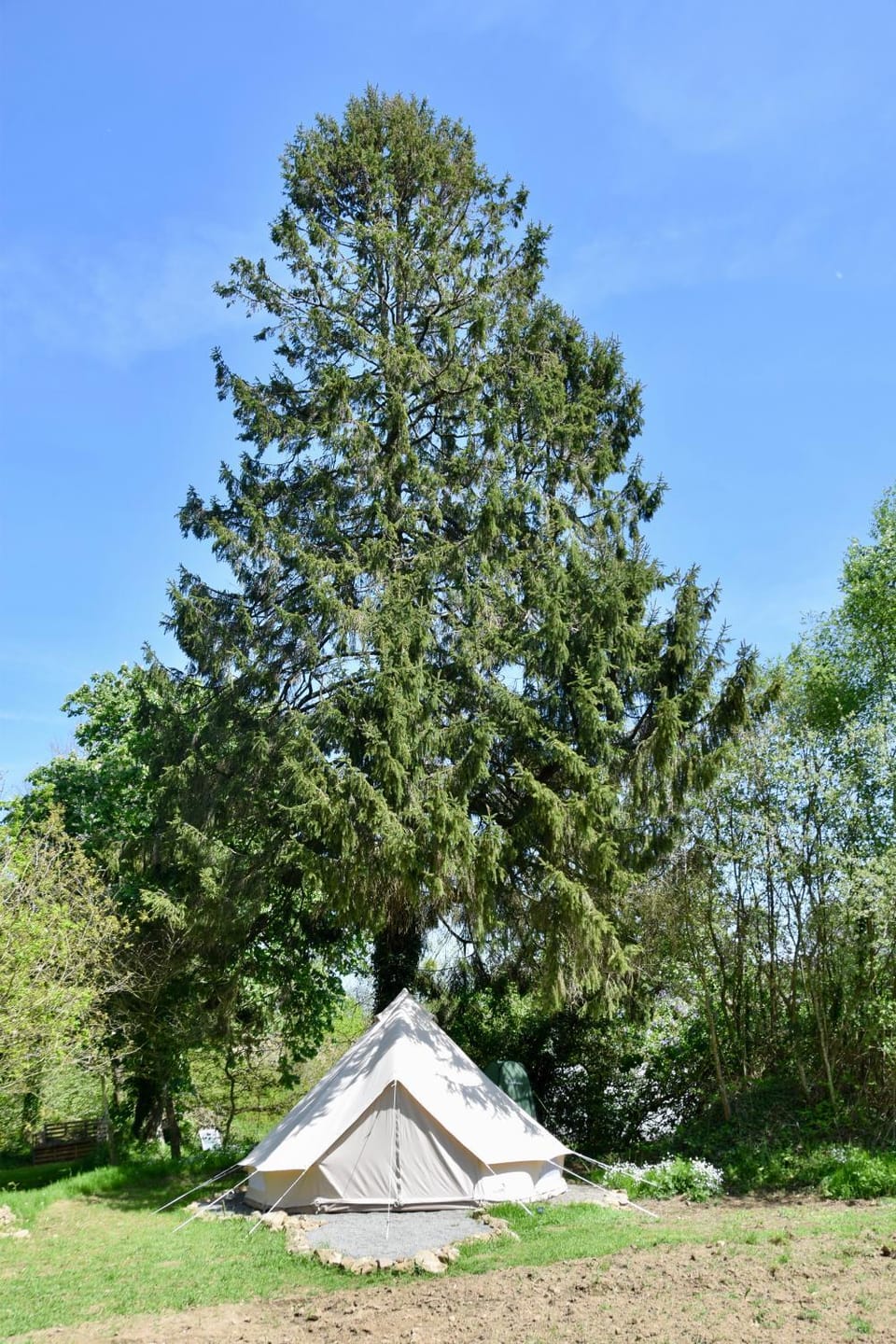 Natural landscape, Garden, Garden view