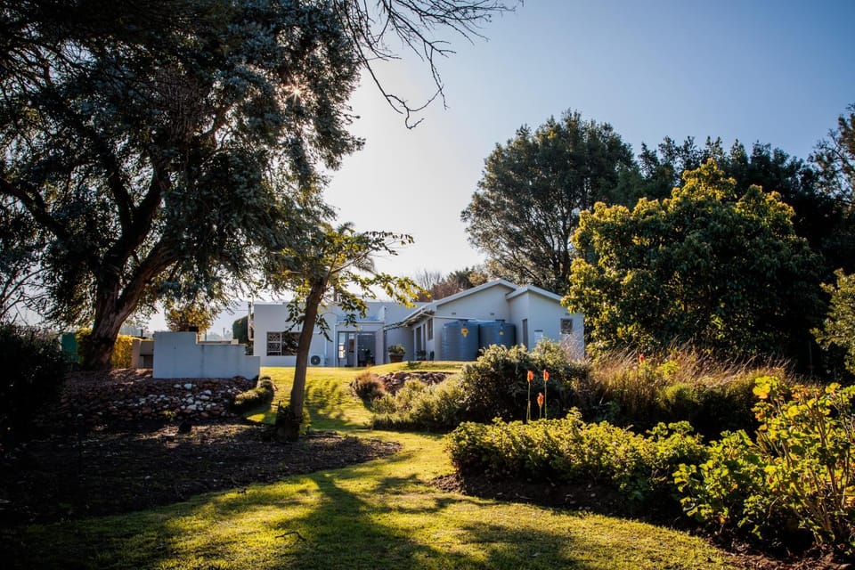 Garden, Garden view, Garden view