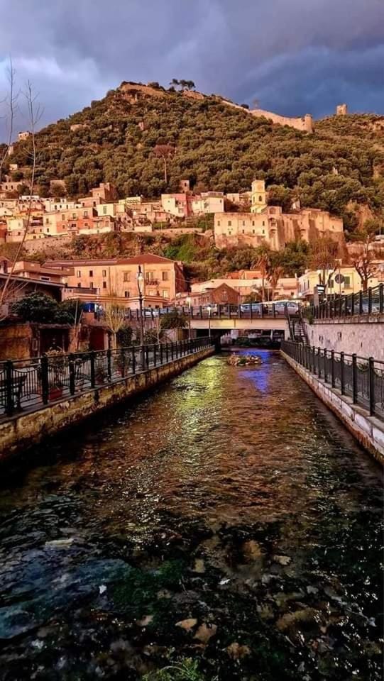 City view, River view