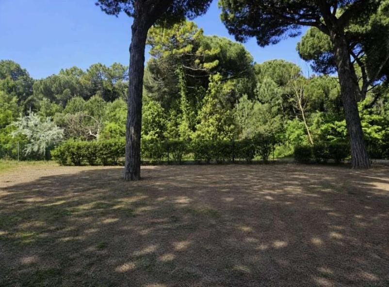 Hotel Venus Hostel in Milano Marittima
