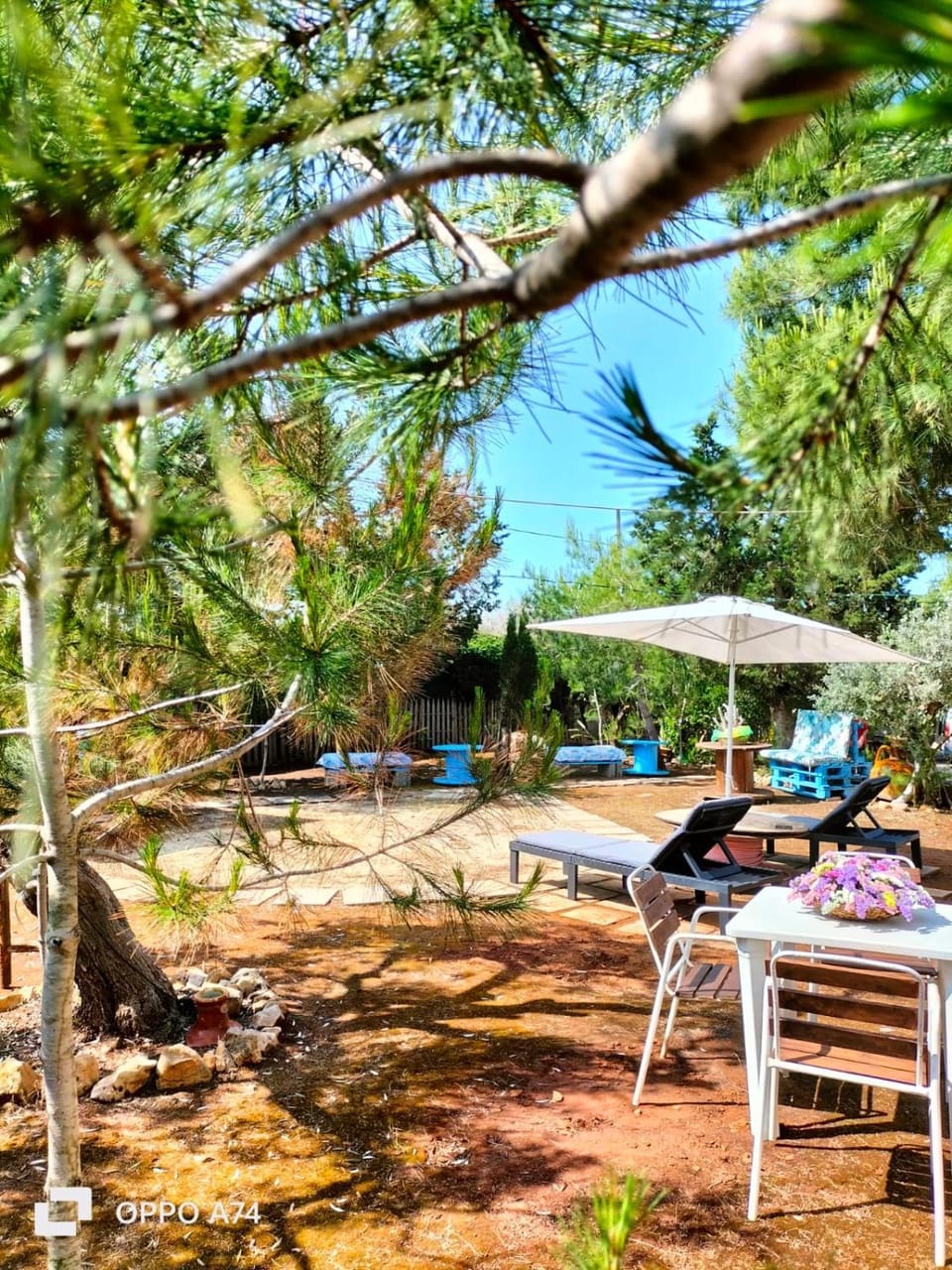 La casa di Giorgio Apartment in Apulia