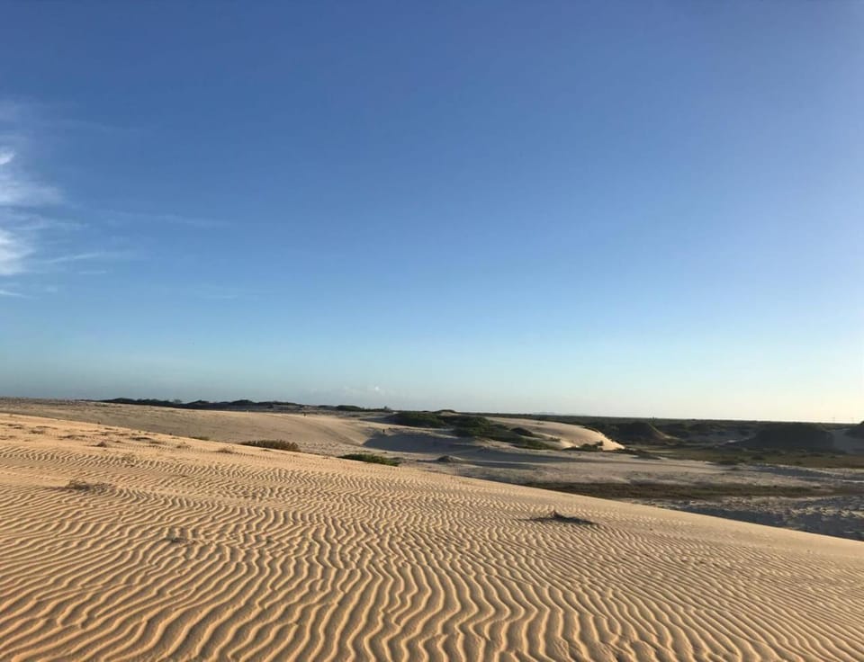Natural landscape
