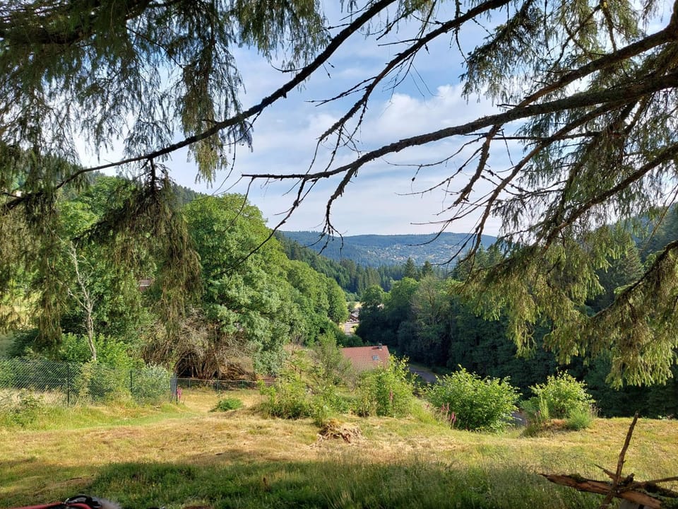 Le Refuge perché du saut de la bourrique, SPA, terrain clôturé, bordure de forêt Chalet in Gérardmer
