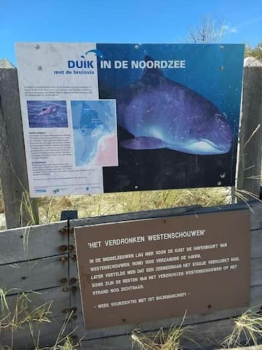 Studio bed & Strand Apartment in Scharendijke