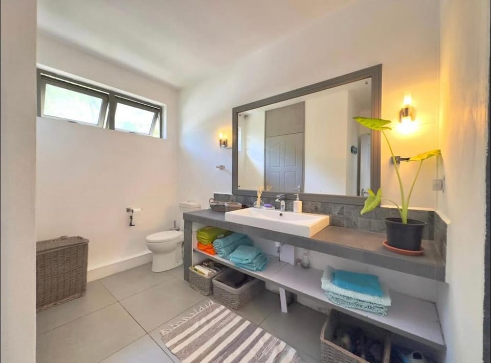 Shower, Toilet, Bathroom, hair dryier, towels
