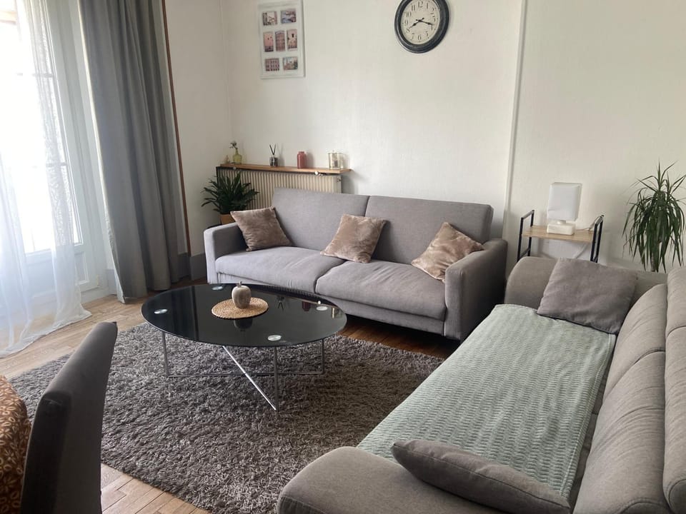 Appartement spacieux cosy centre Epinal !!! Apartment in Vosges
