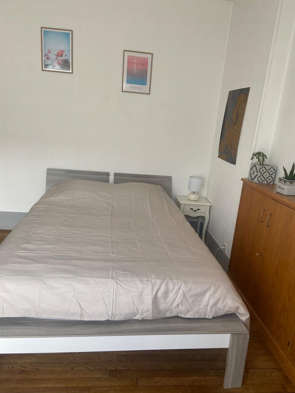 Appartement spacieux cosy centre Epinal !!! Apartment in Vosges