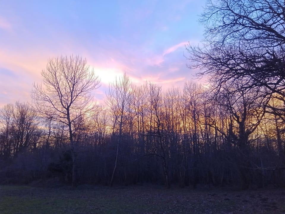 Natural landscape