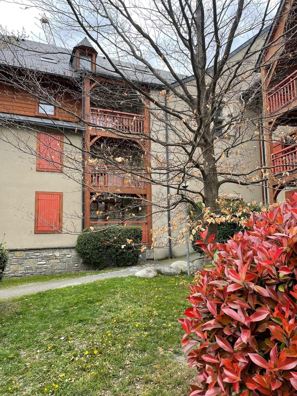 Garden view