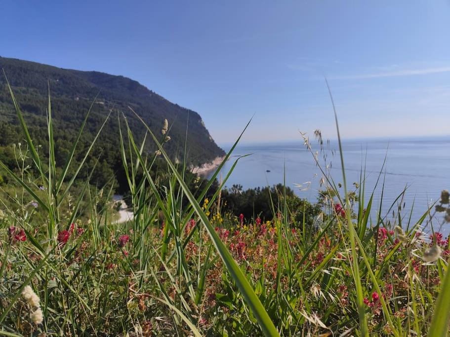 Day, Natural landscape, Sea view