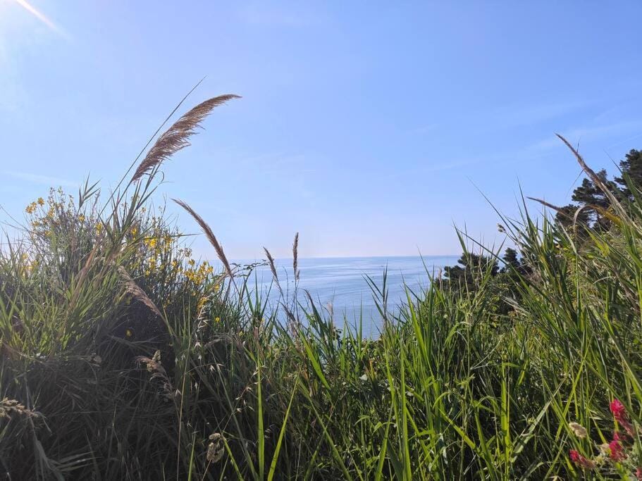 Day, Sea view