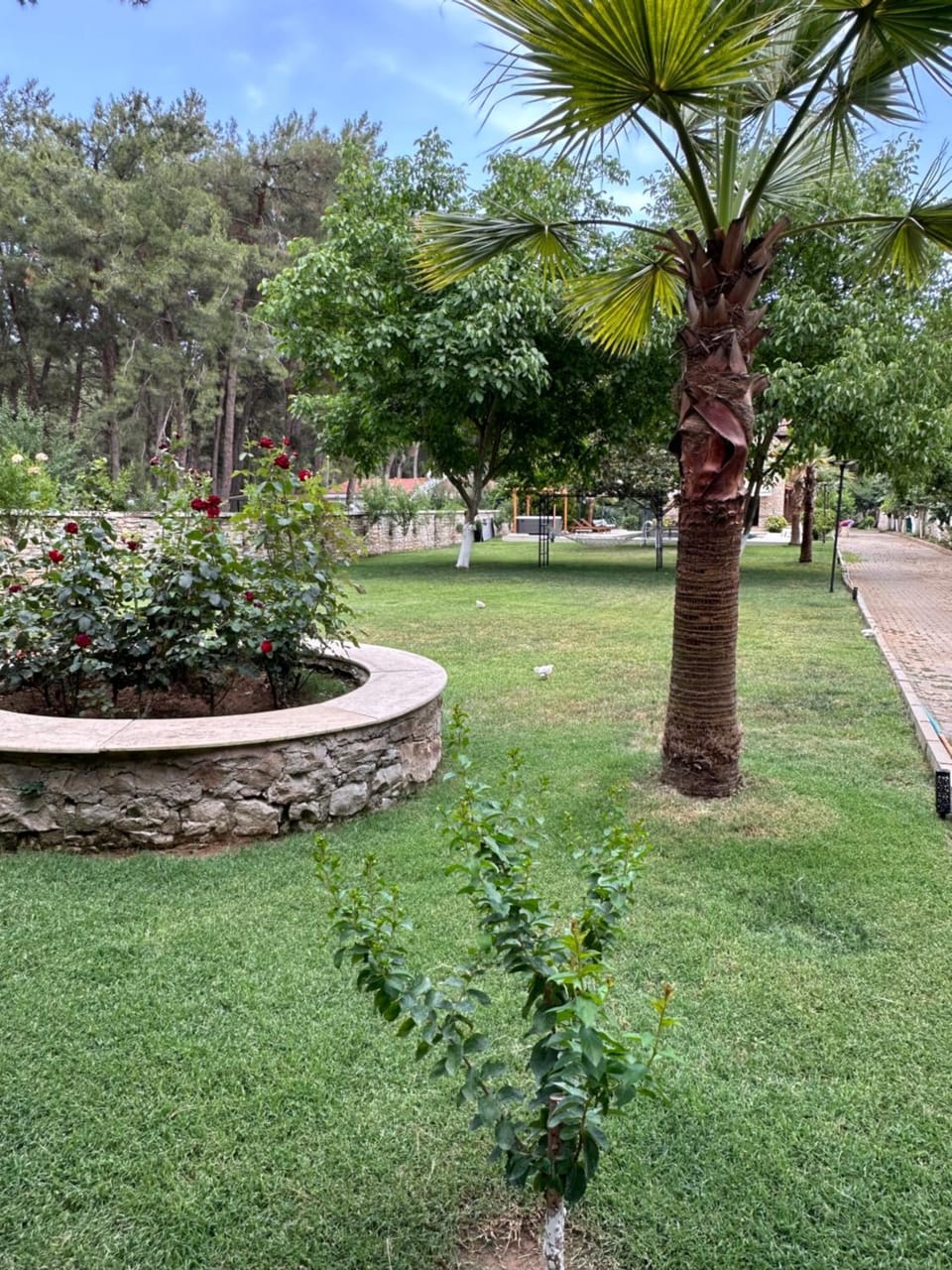 Sarob Home Ultralüx Tasev Villa in Aydın Province