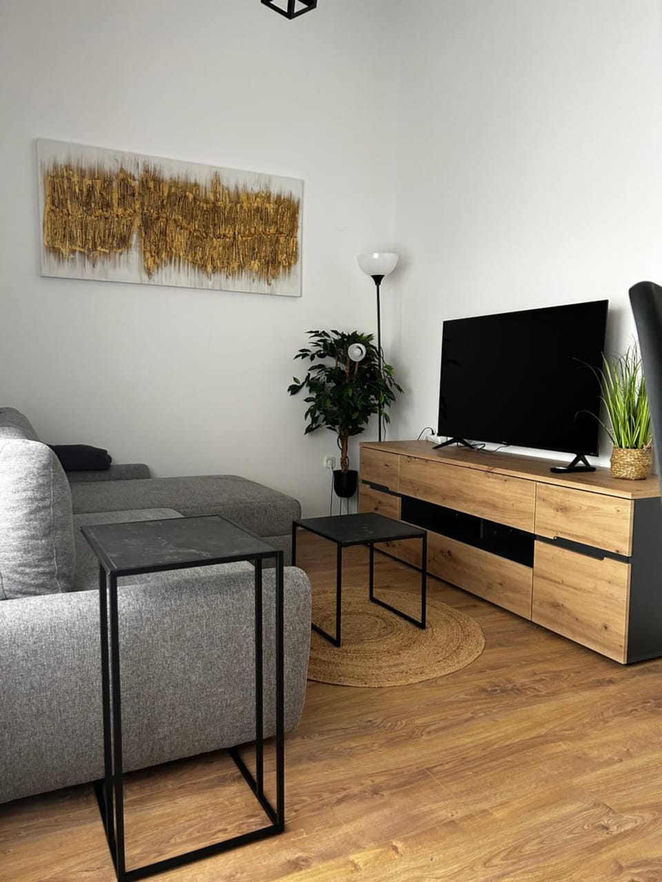 Communal lounge/ TV room, TV and multimedia