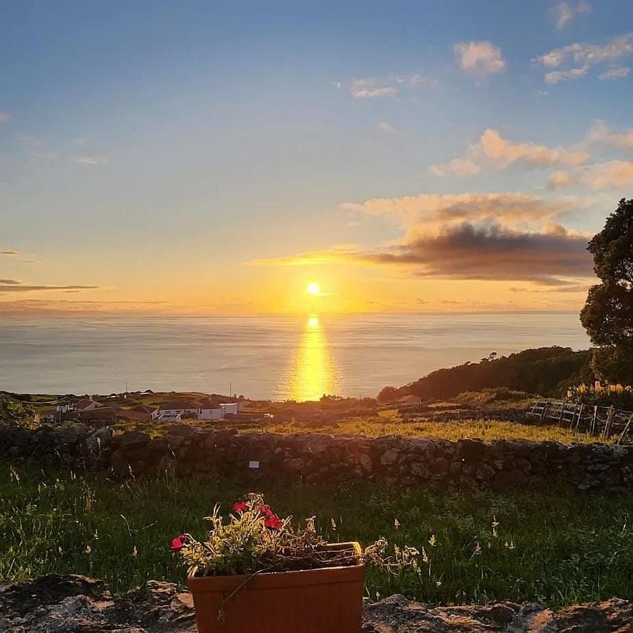 Ti Chôa - Casa do Biscoitinho House in Azores District