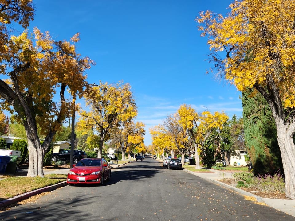 Neighbourhood