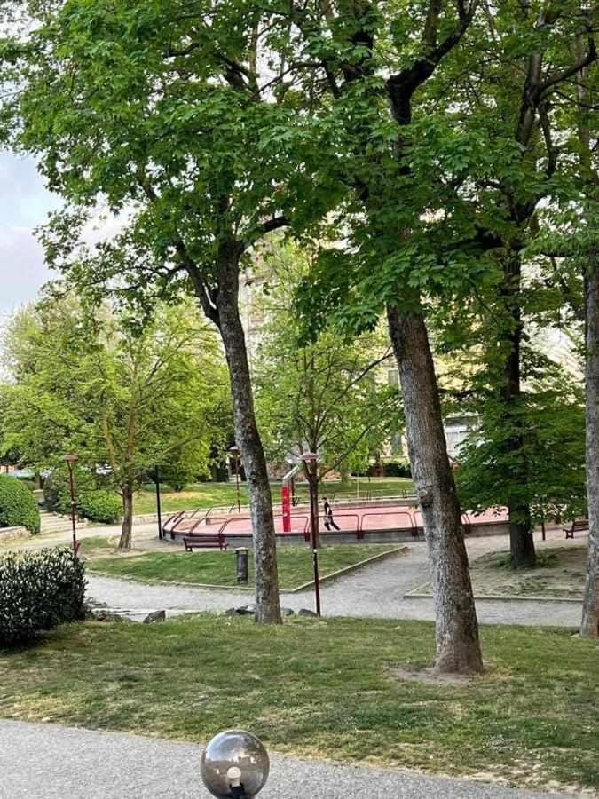 Neighbourhood, Garden