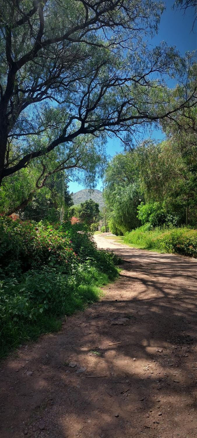 Natural landscape