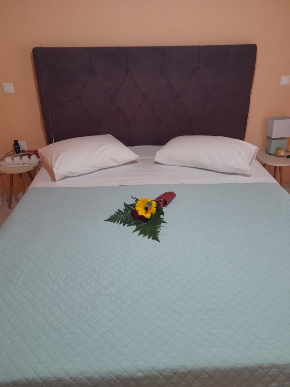 Athena Studios Apartment in Zakynthos, Greece